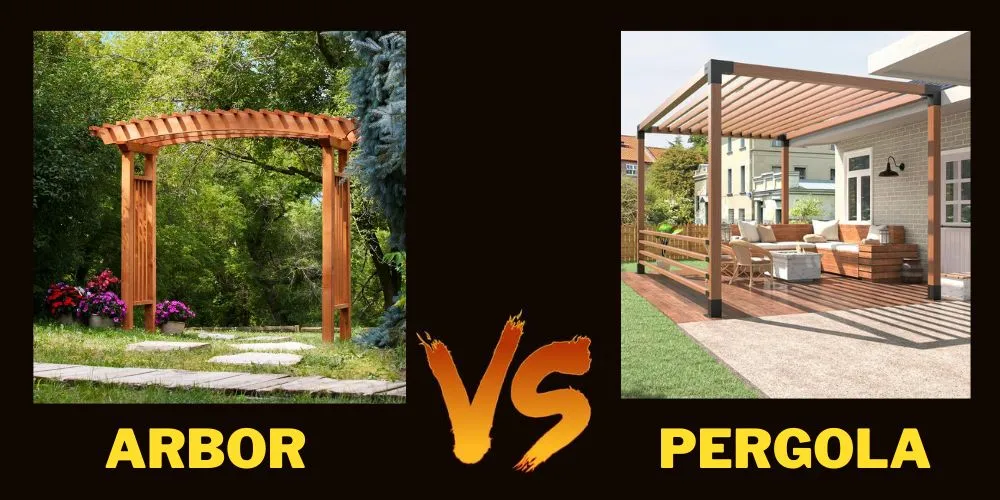 Arbor vs Pergola