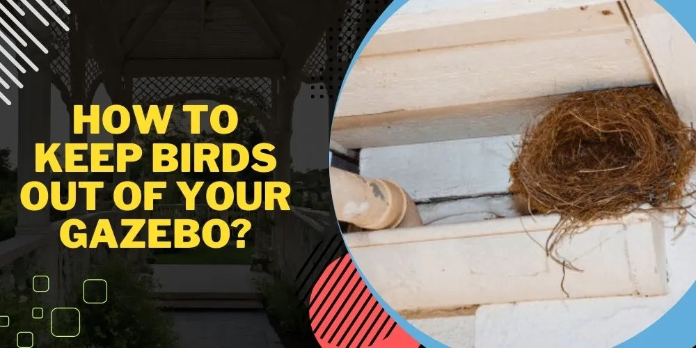 How to Keep Birds Out of Your Gazebo